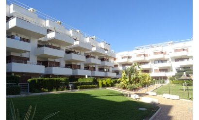 Apartamento - Reventa - Lomas de Cabo Roig -
                Lomas de Cabo Roig