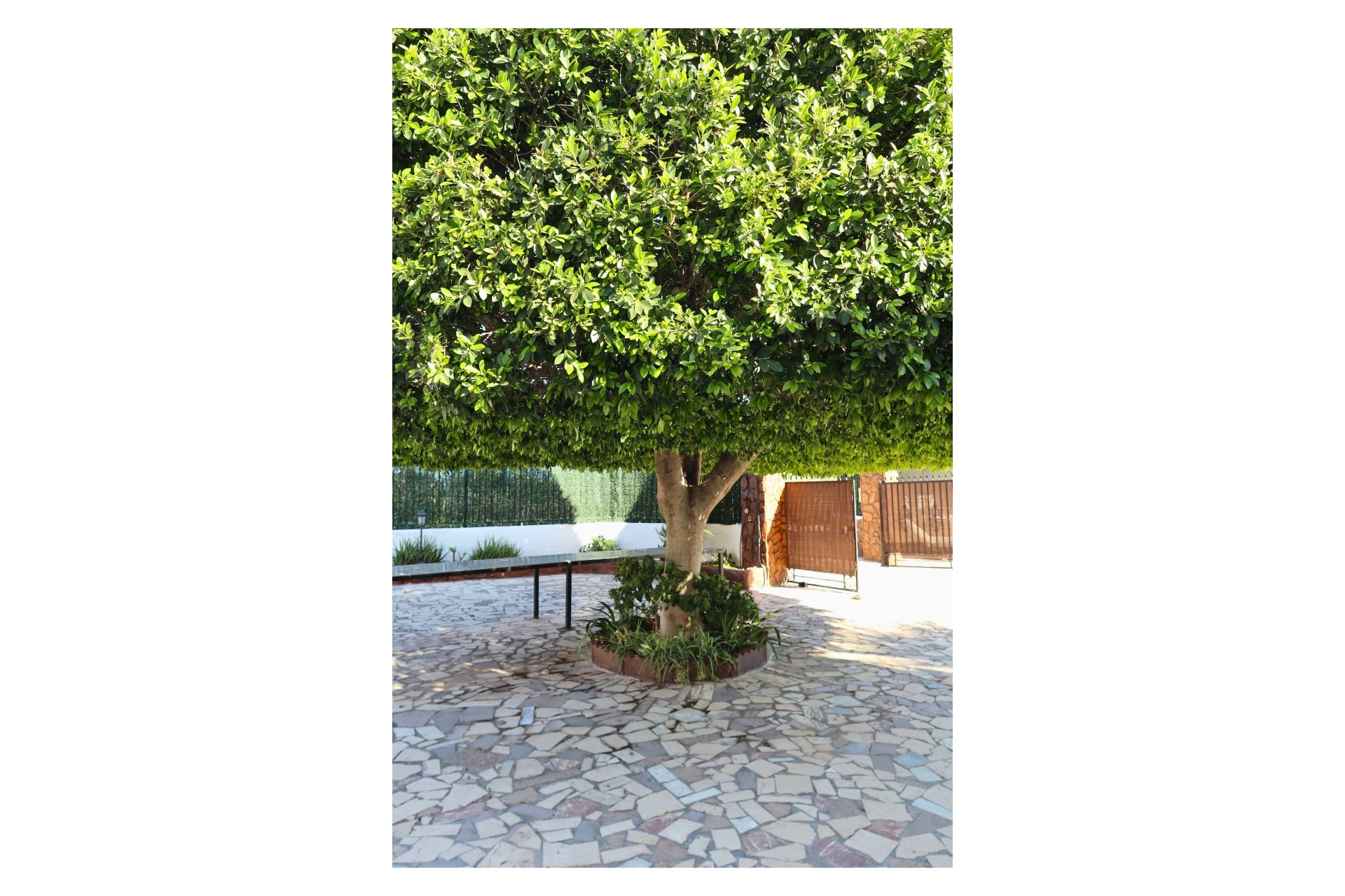 Endursala - Semi Detached Villa -
Crevillente