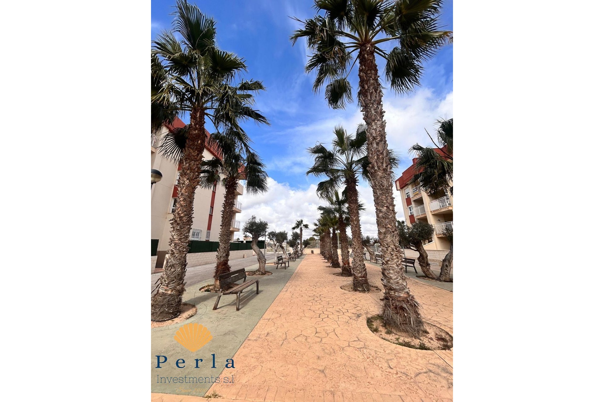 New Build - Apartment -
Lomas de Cabo Roig