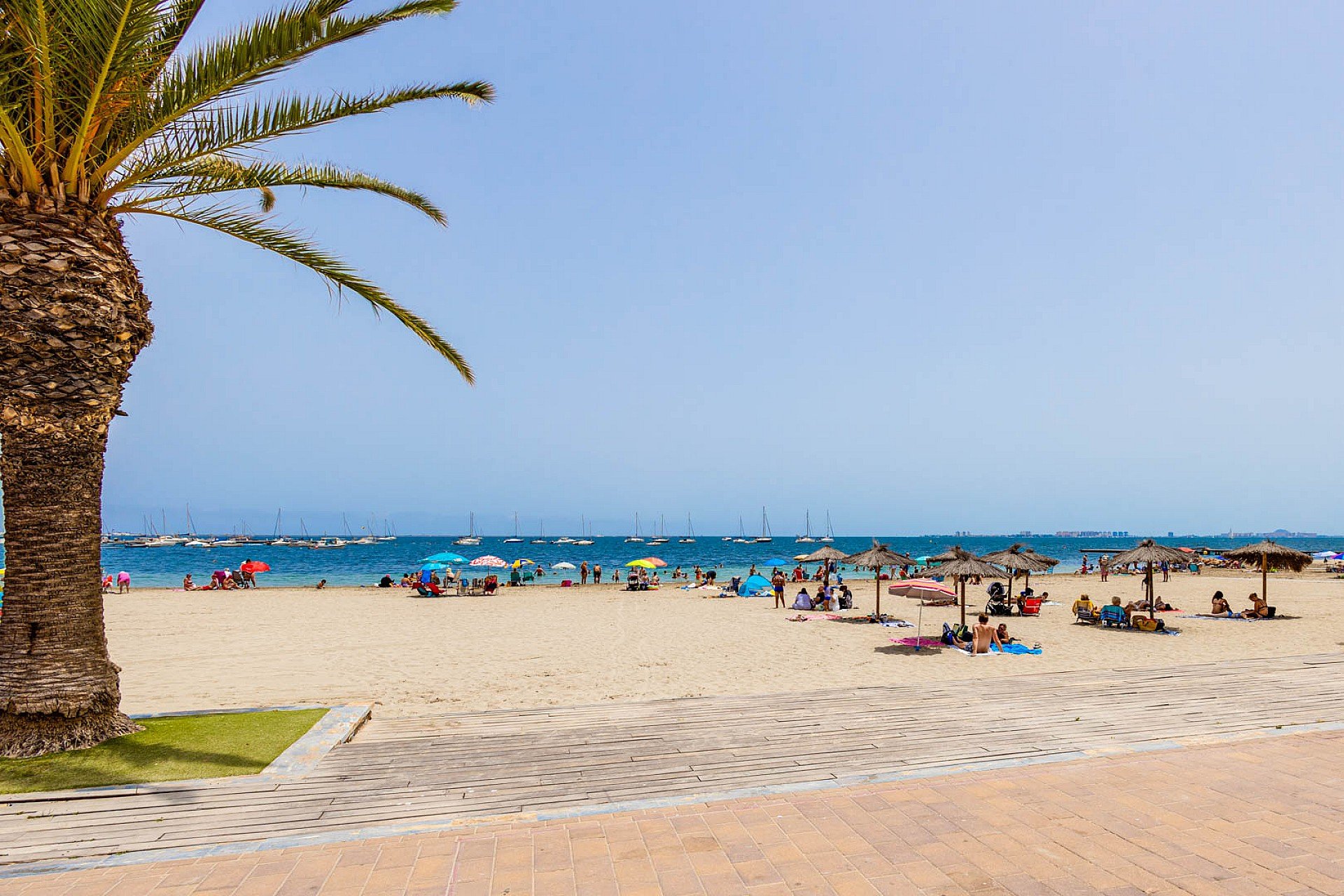 New Build - Apartment -
San Javier