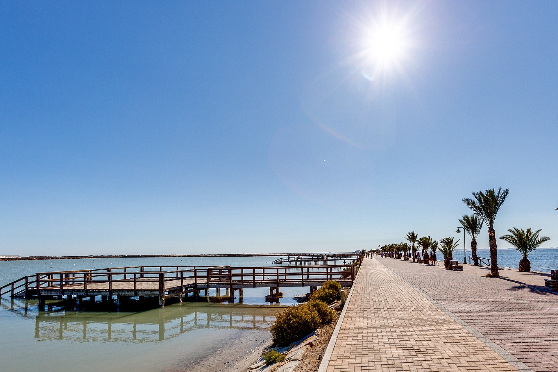 New Build - Apartment -
San Javier