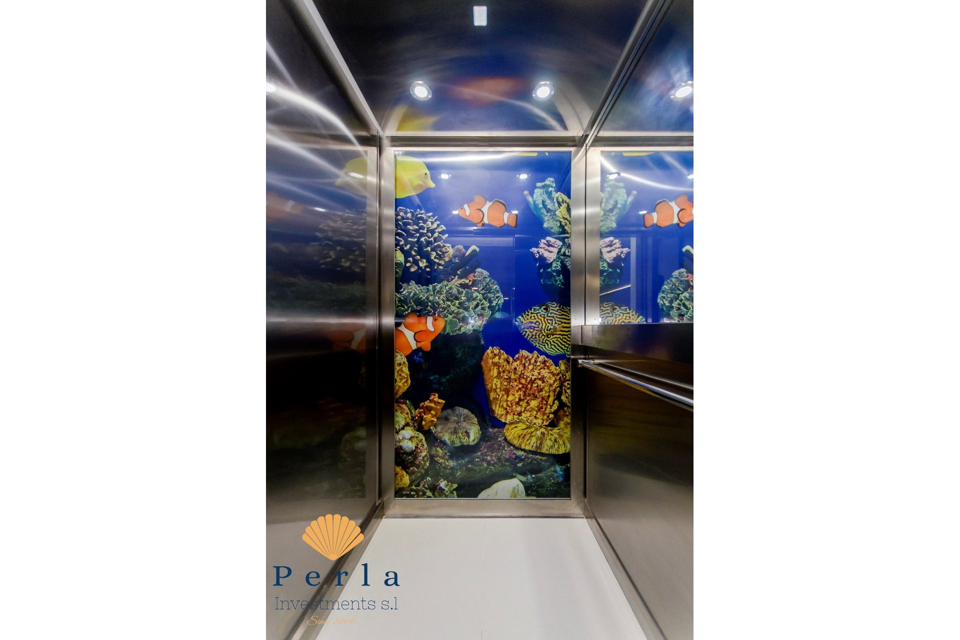 New Build - Villa -
Campoamor