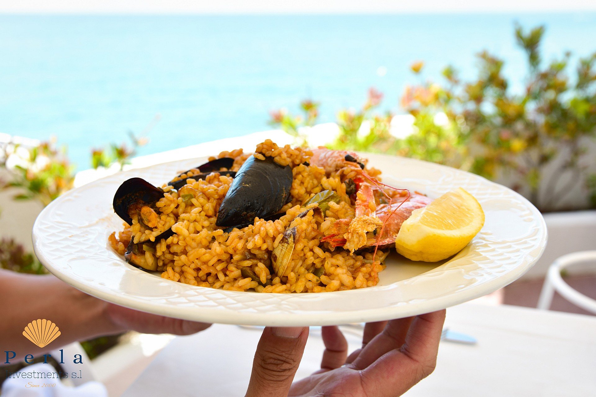 New Build - Villa -
Campoamor