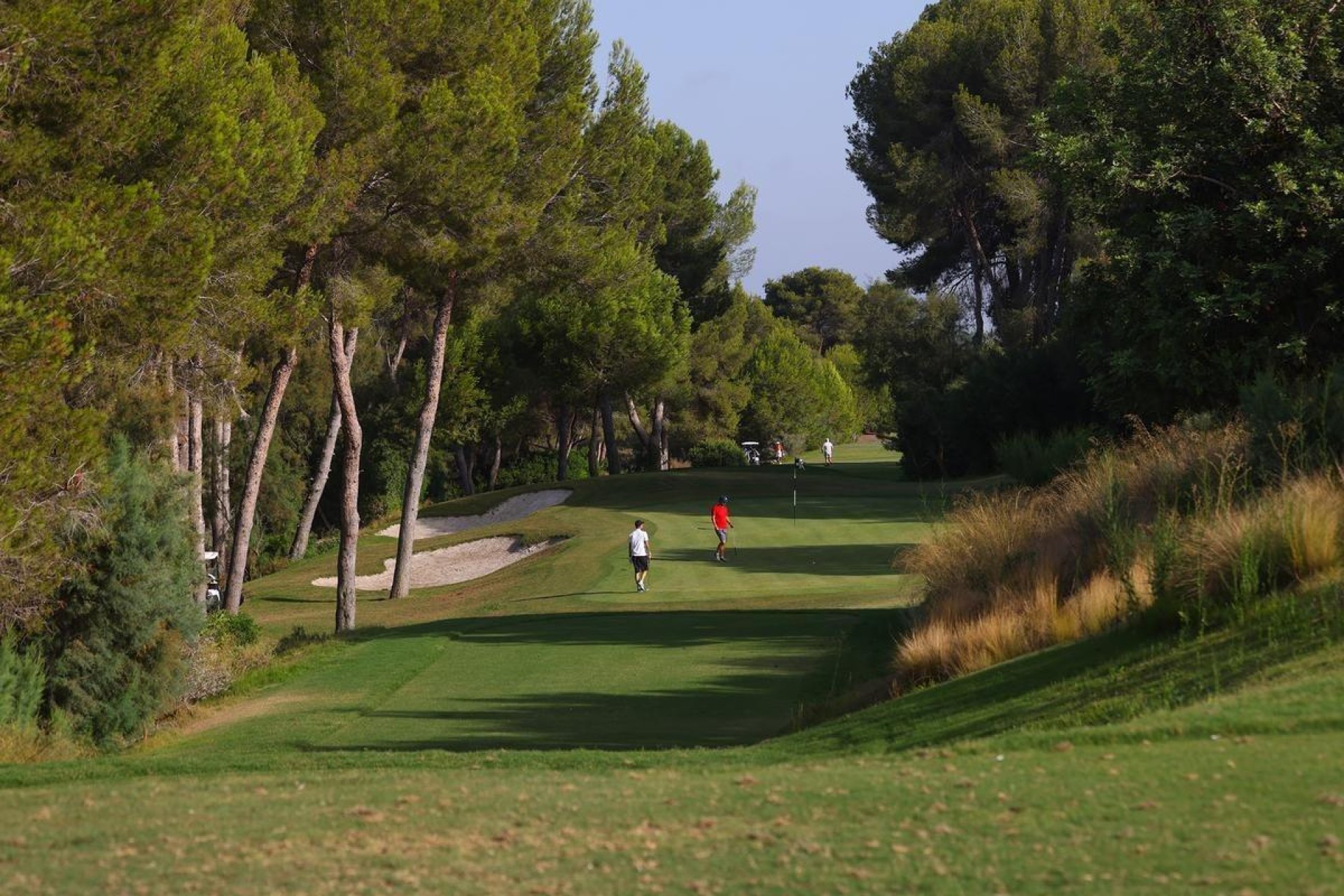 New Build - Villa -
Orihuela - Las Colinas Golf
