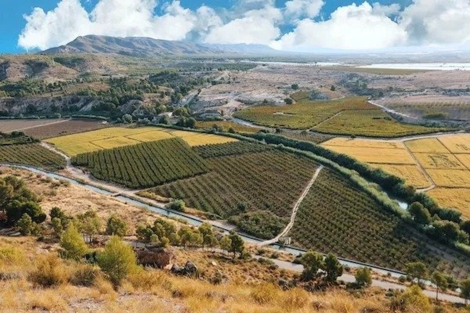 Nýbygging - Einbýlishús -
Calasparra - Coto Riñales