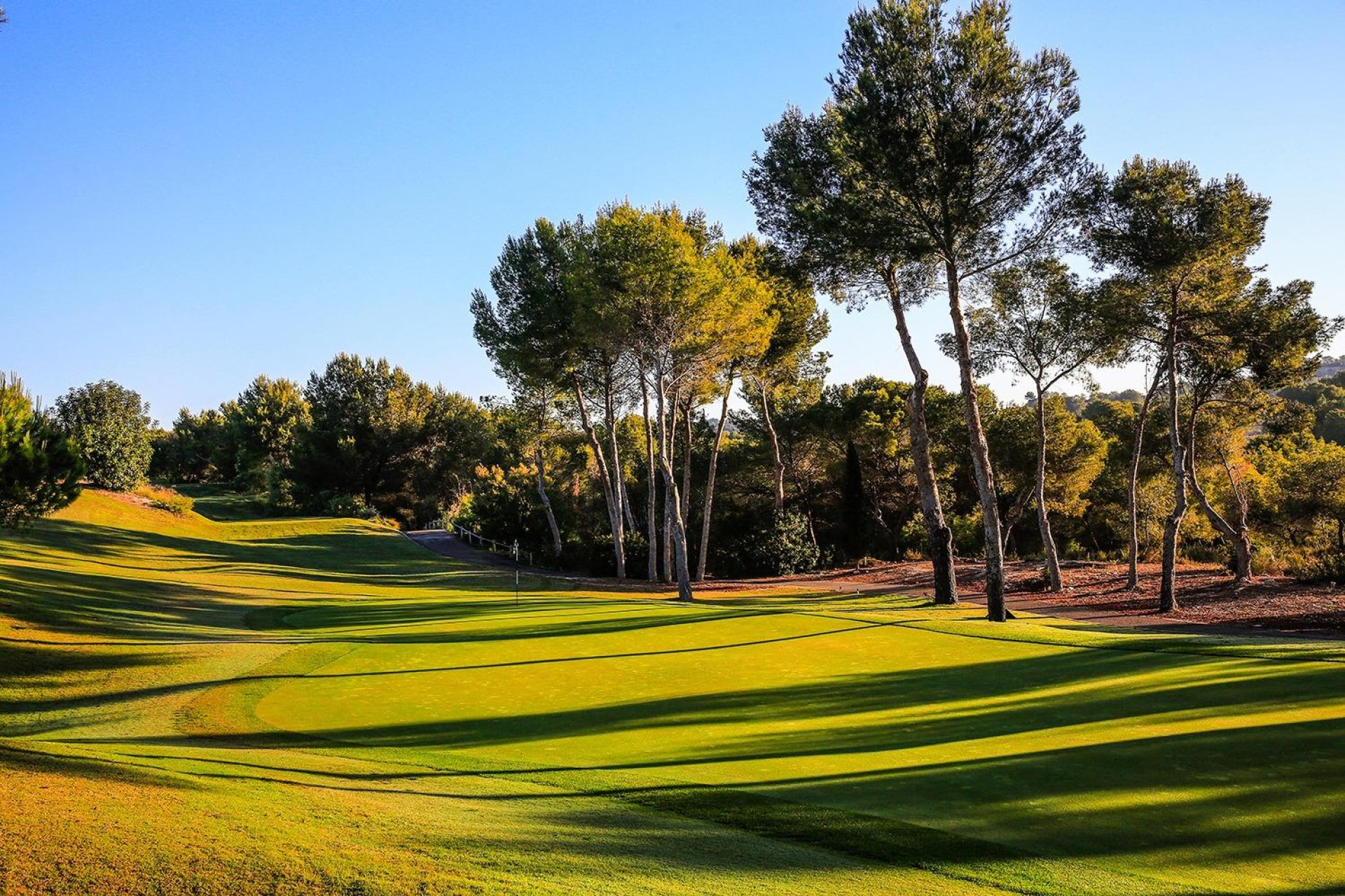 Nýbygging - Einbýlishús -
Orihuela - Las Colinas Golf