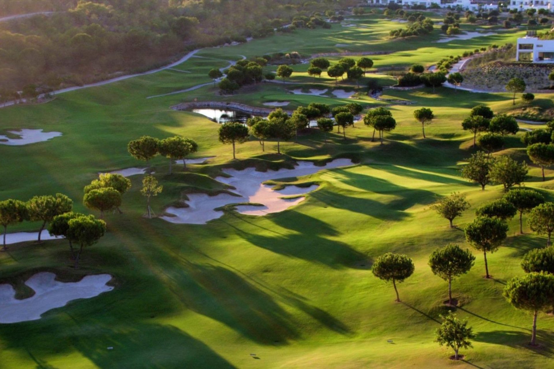 Nýbygging - Einbýlishús -
Orihuela - Las Colinas Golf