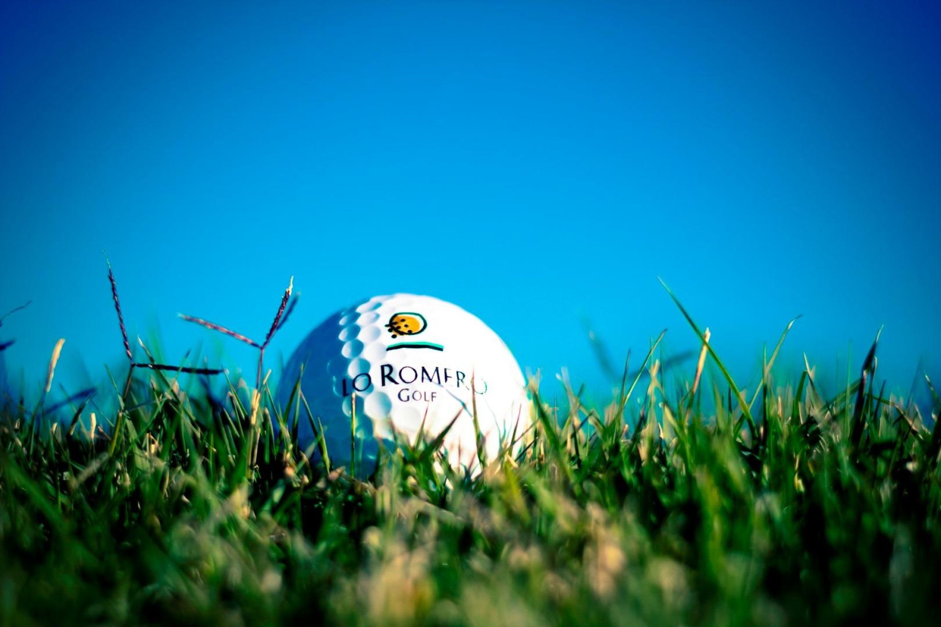 Nýbygging - Einbýlishús -
Pilar de la Horadada - Lo Romero Golf