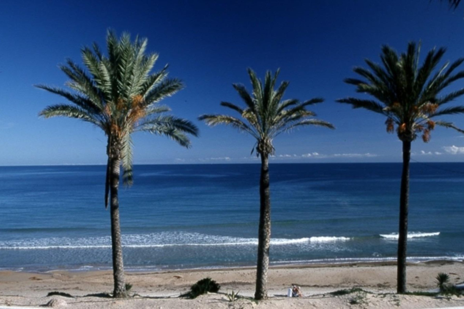 Nýbygging - Sérhæð -
Pilar de la Horadada - Parque Ramon eugenio Escudero