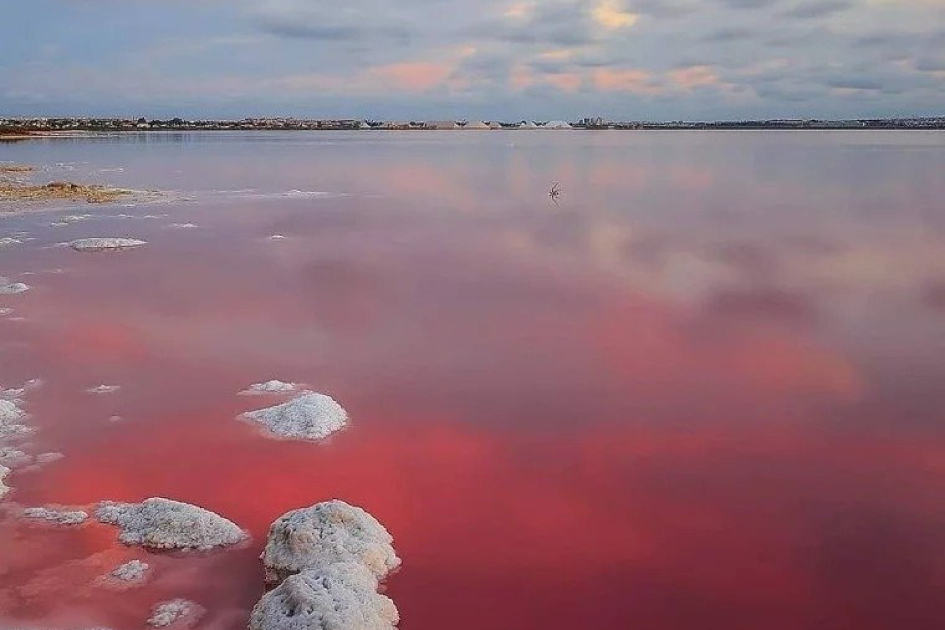 Nýbygging - Sérhæð -
Torrevieja - Lago Jardín II