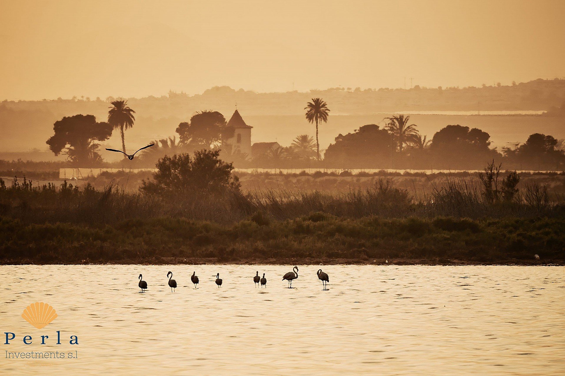 Nýbygging - Þakíbúð -
Torrevieja