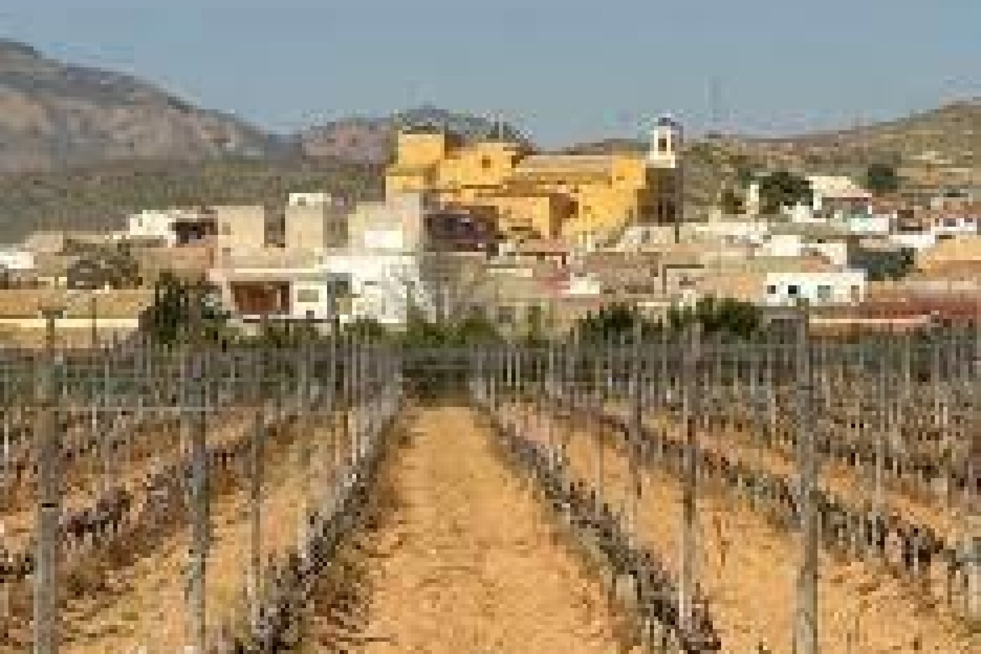 Nýbygging - Top Floor Bungalow -
Hondón de las Nieves - El Salero