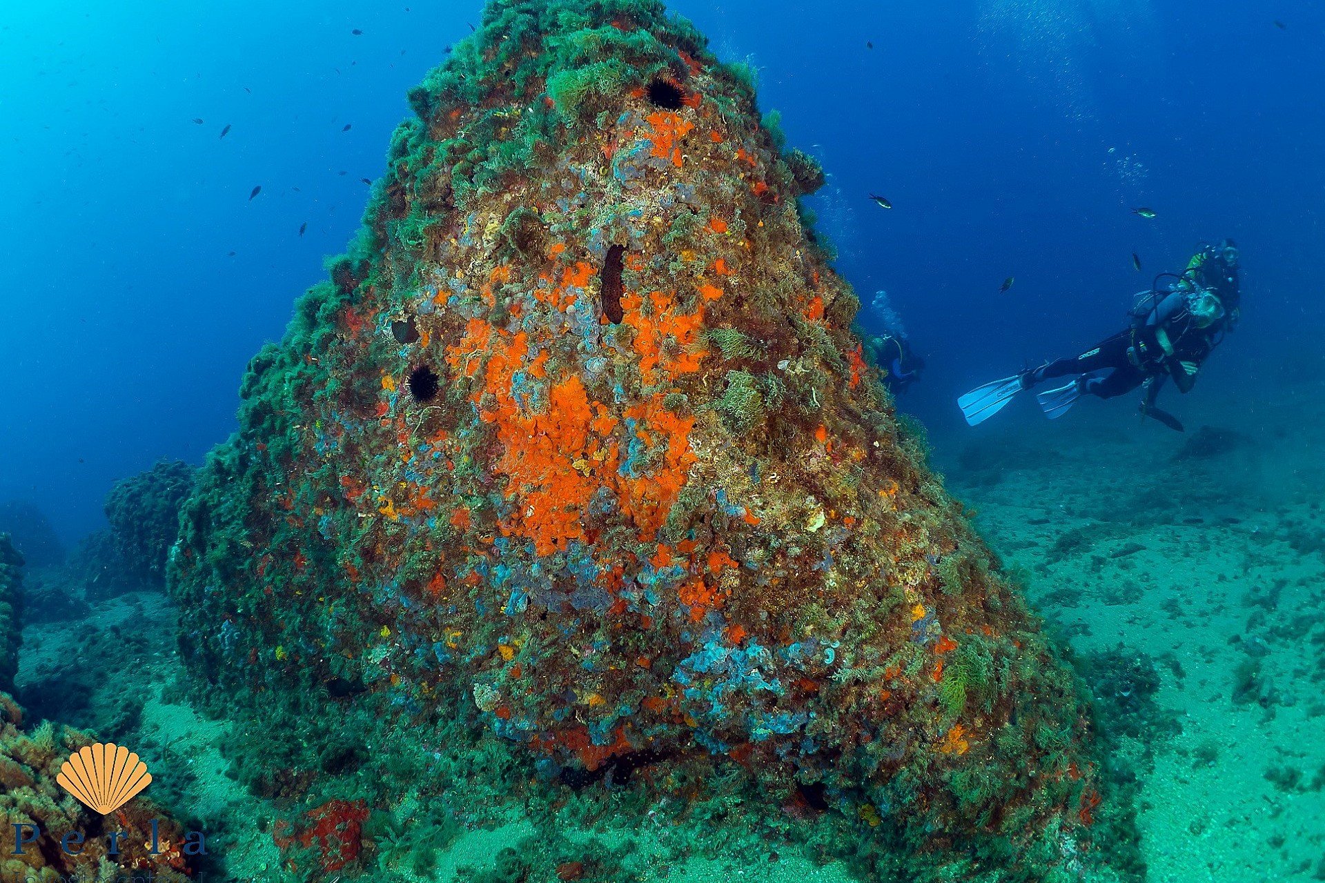 Obra nueva - Ático -
Áquilas