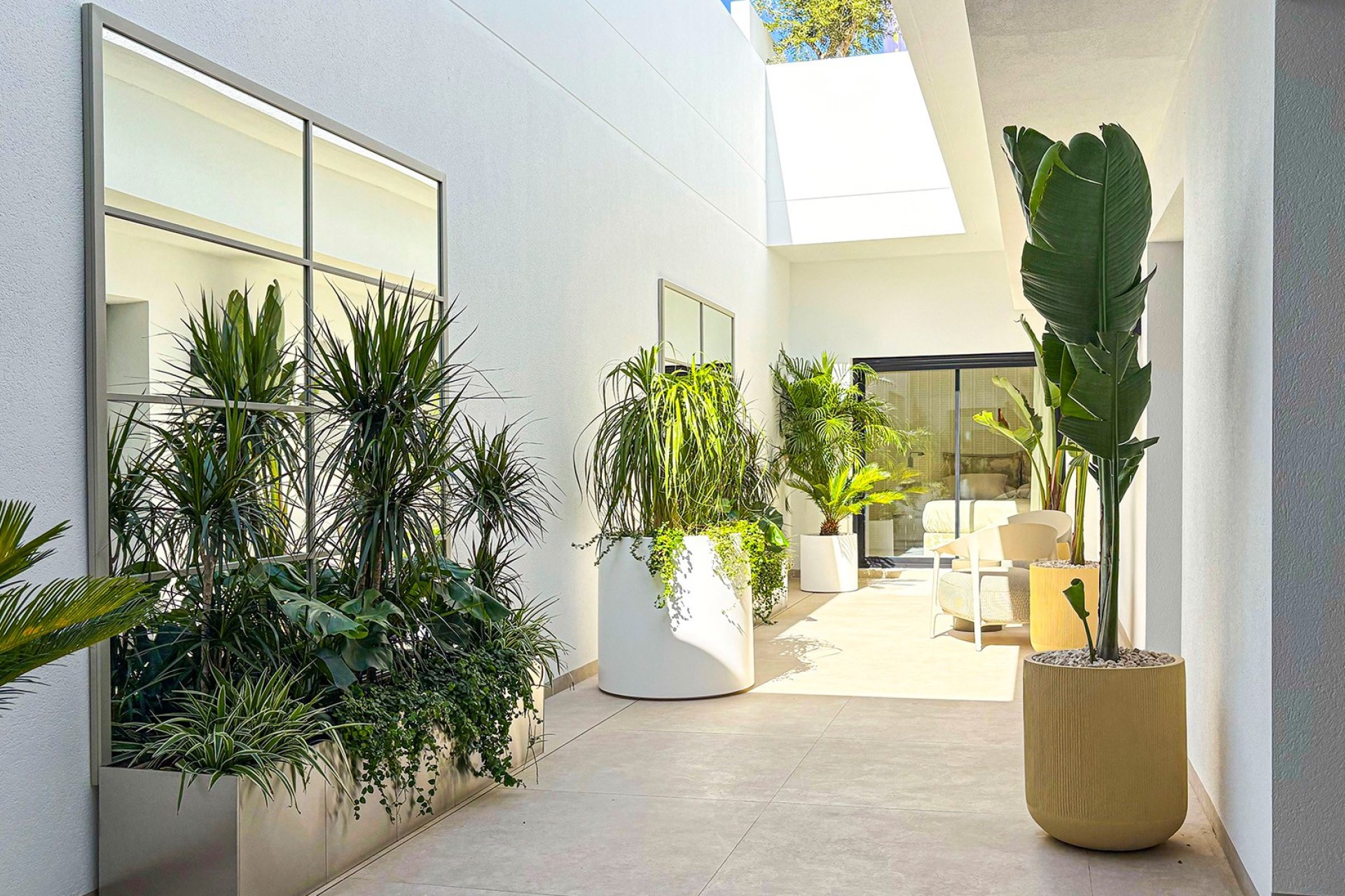 Obra nueva - Detached Villa -
Ciudad Quesada