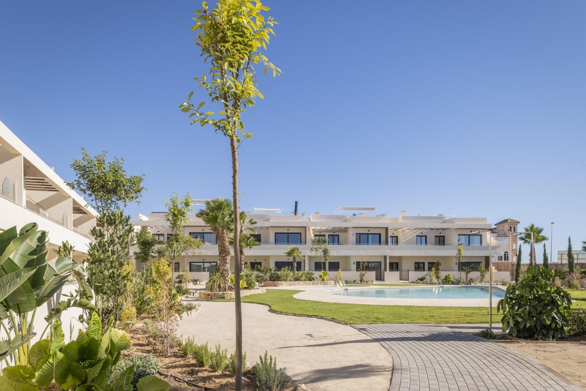 Obra nueva - Top Floor Bungalow -
Torrevieja - Villa Amalia