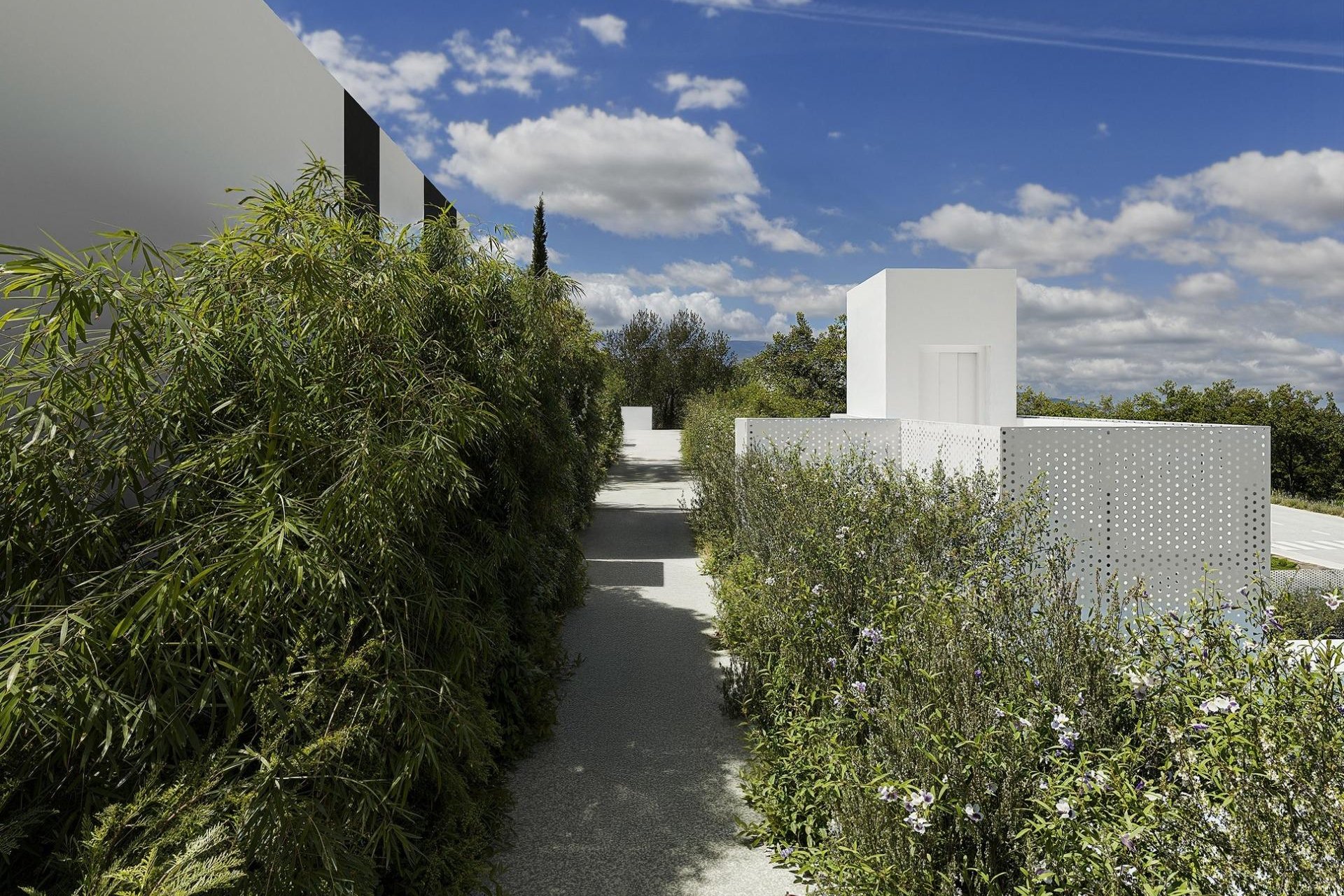 Obra nueva - Villa -
Alfas del Pí - Barranc Fondo