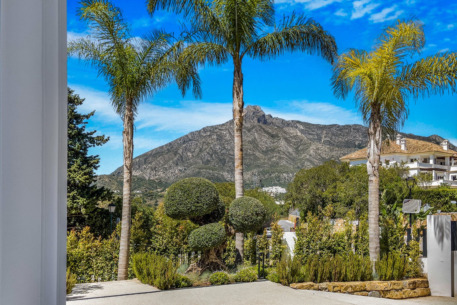 Obra nueva - Villa -
Marbella