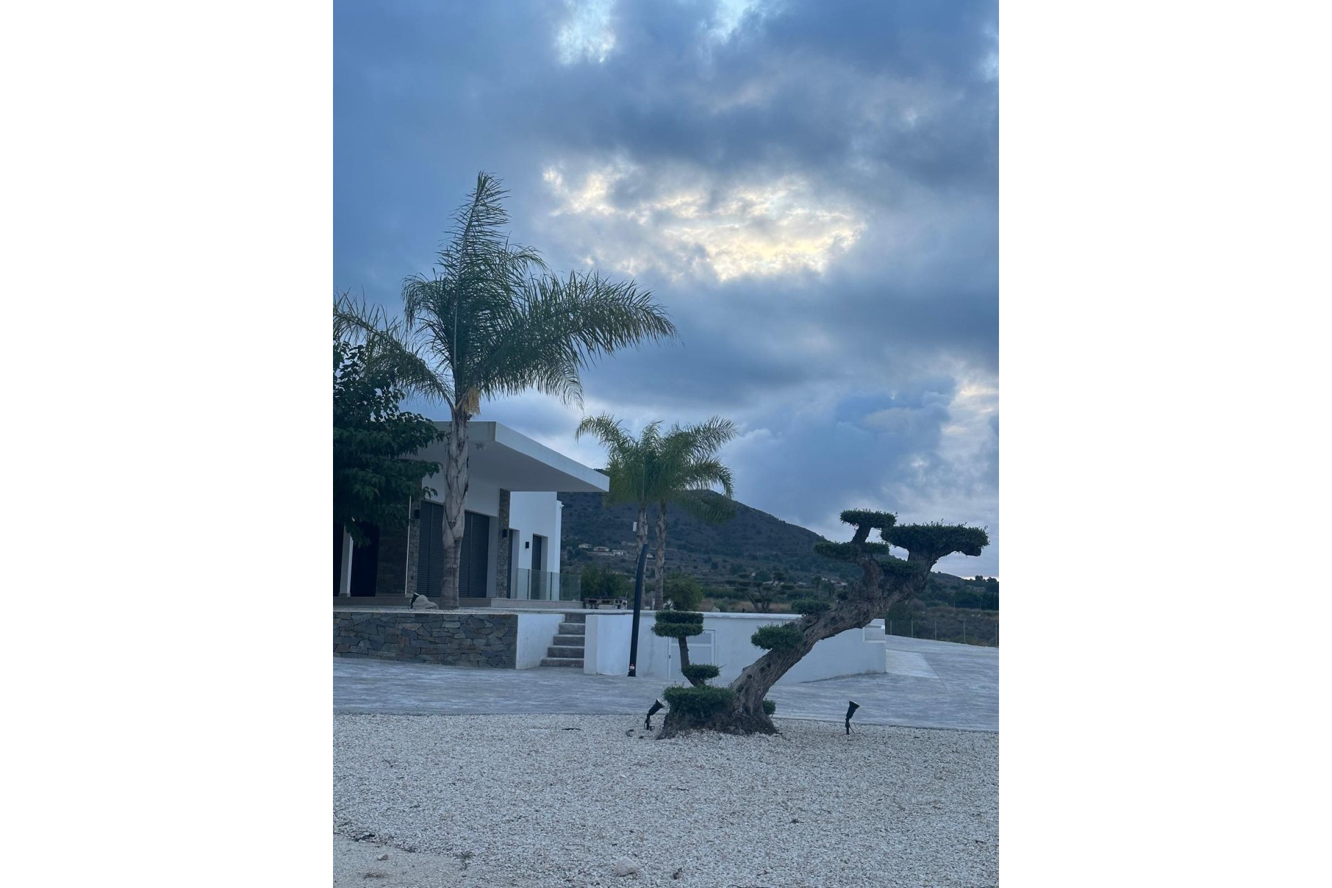 Obra nueva - Villa -
Pinoso - Casas Pastor