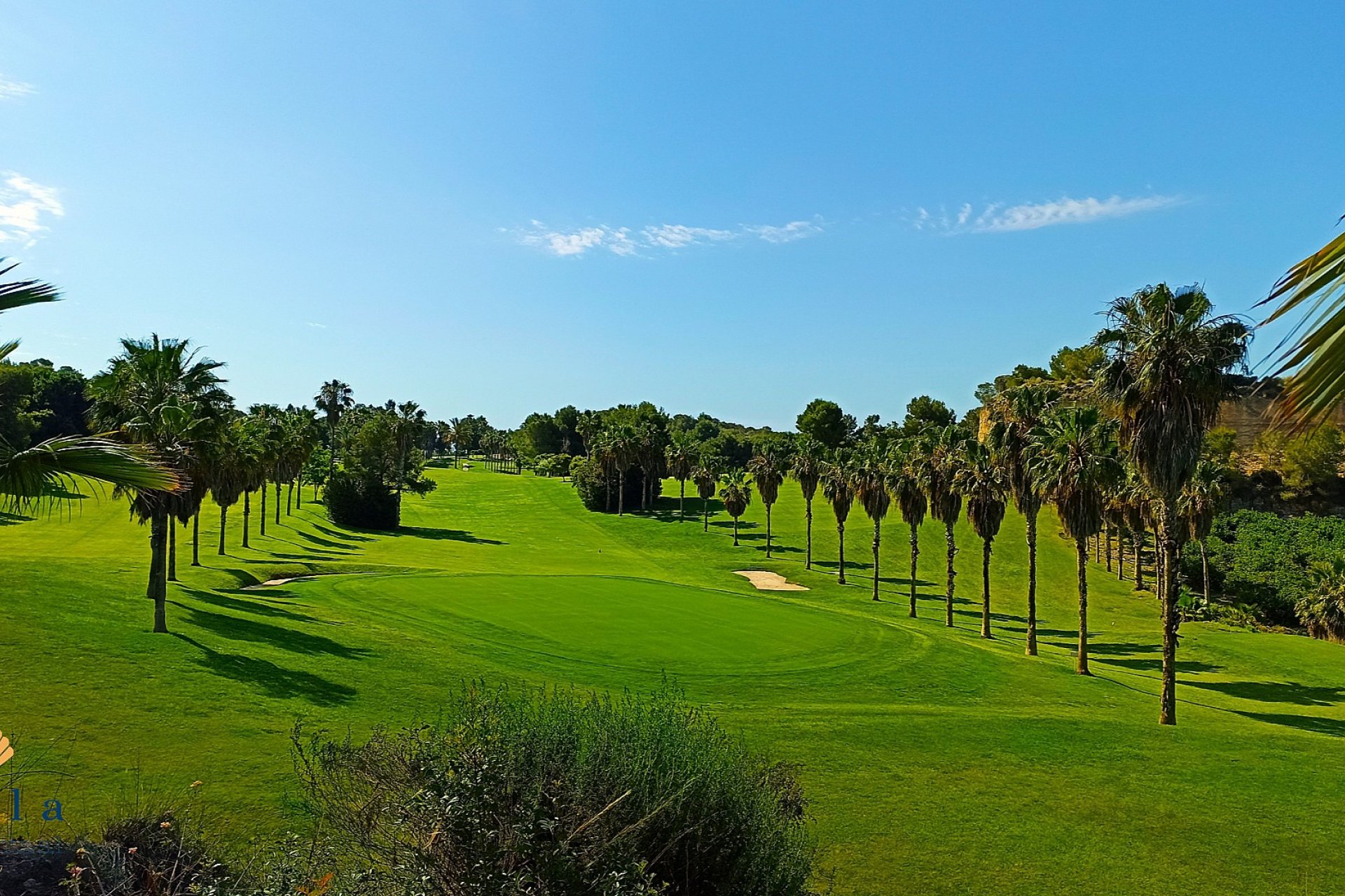 Resale - Apartment -
Campoamor