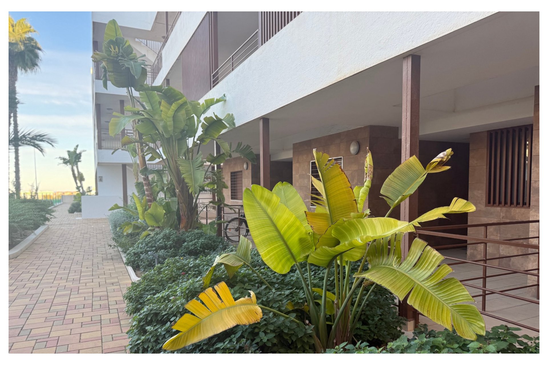 Resale - Apartment -
Lomas de Cabo Roig