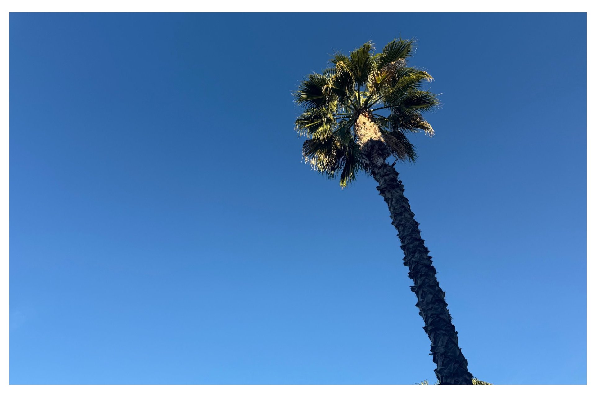 Reventa - Apartamento -
Lomas de Cabo Roig