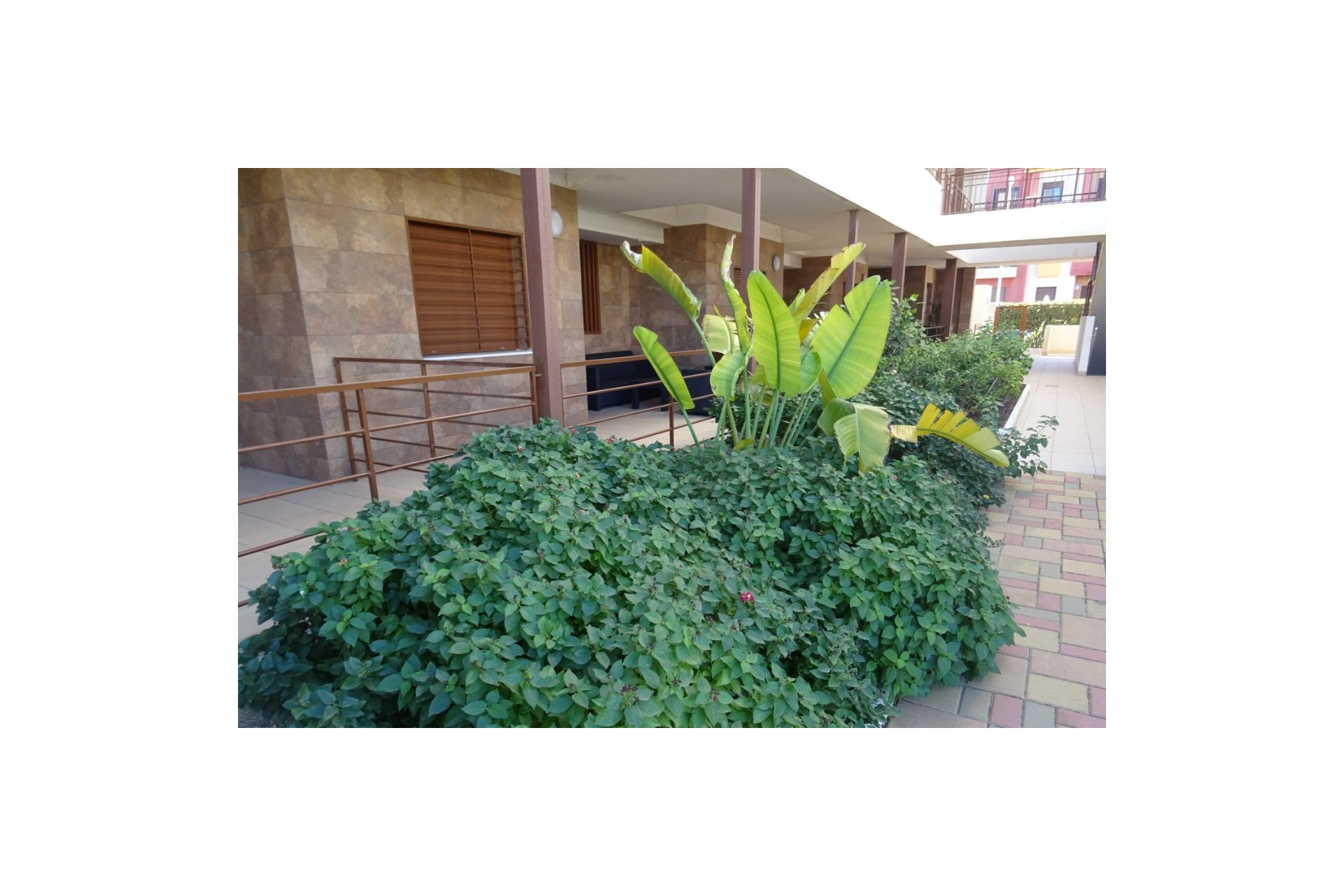 Reventa - Apartamento -
Lomas de Cabo Roig