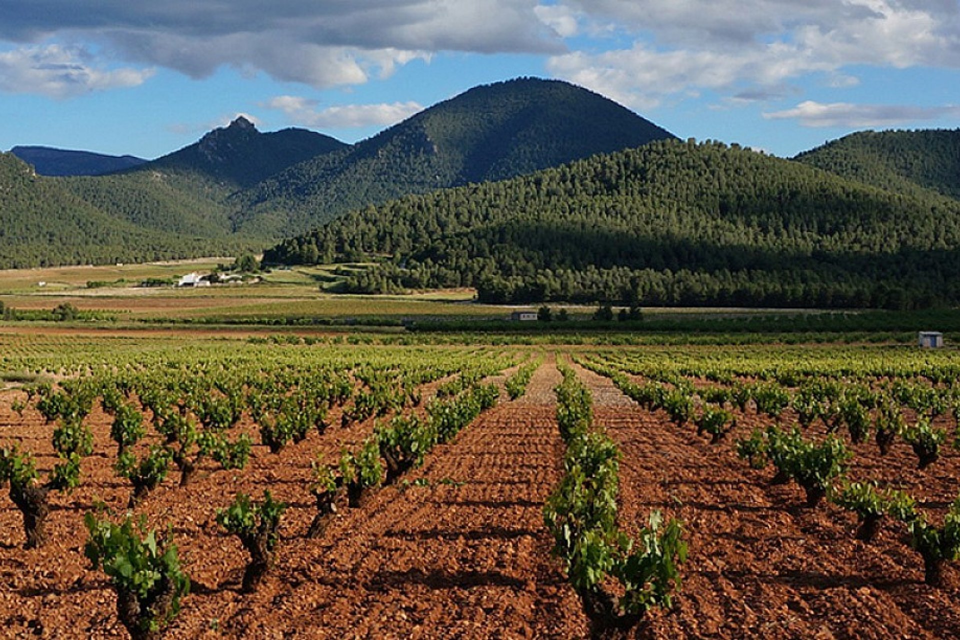 Reventa - Villa -
Las Palas