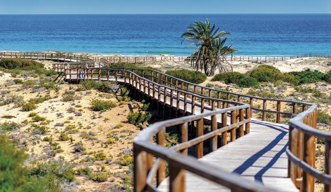 Nýbygging - Ground floor apartment -
Monforte del Cid - Alenda Golf