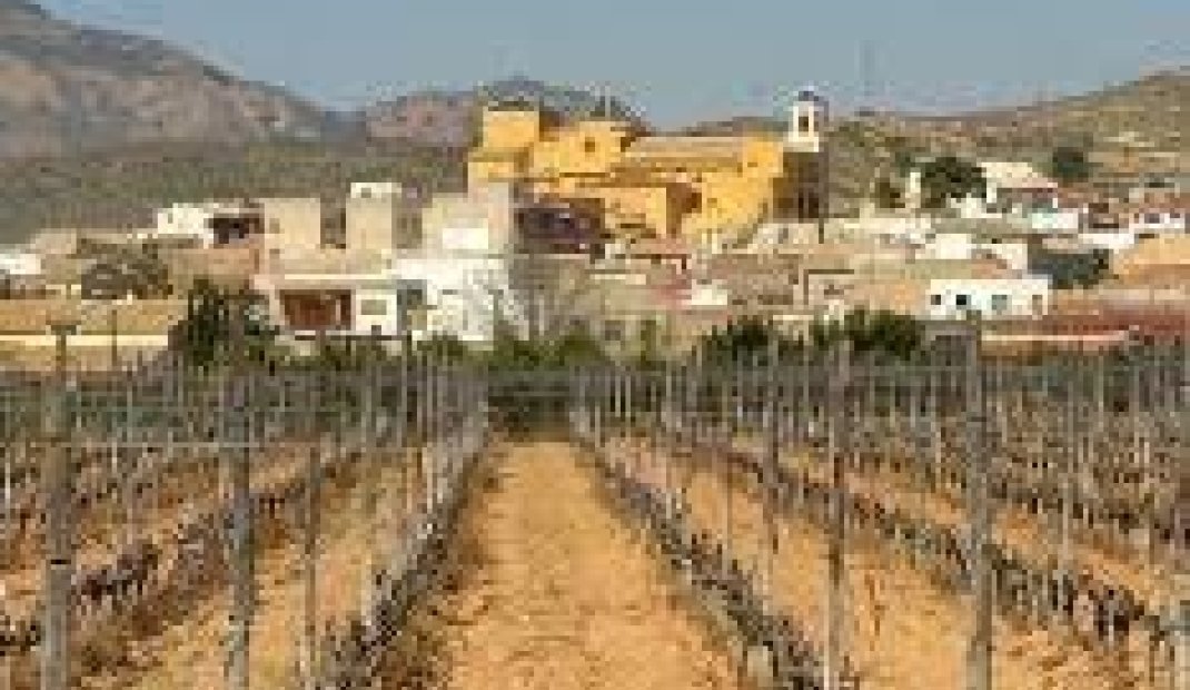 New Build - Ground Floor Bungalow -
Hondón de las Nieves - El Salero