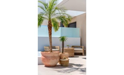 Obra nueva - town house -
Dolores - Sector 3