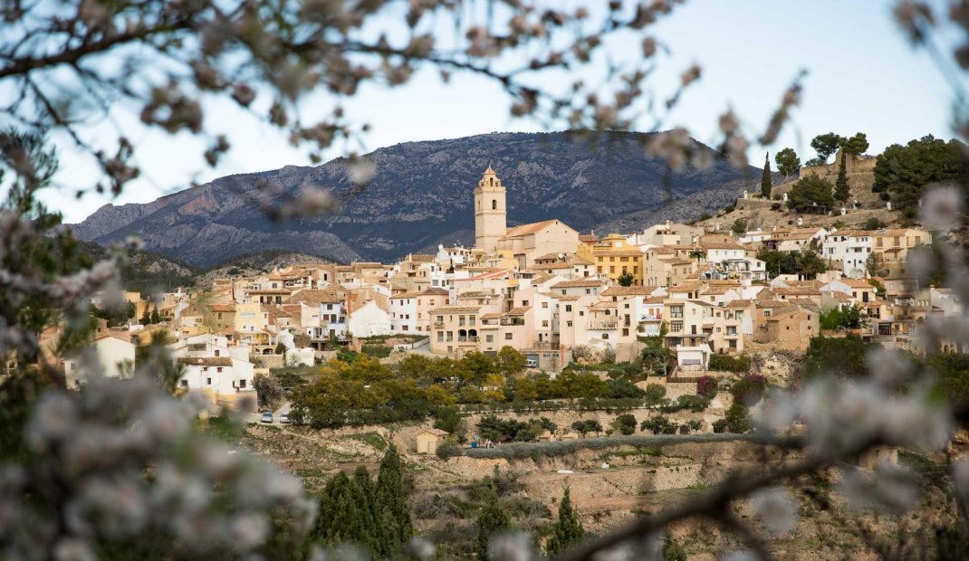 Obra nueva - Villa -
Polop - Polop Hills