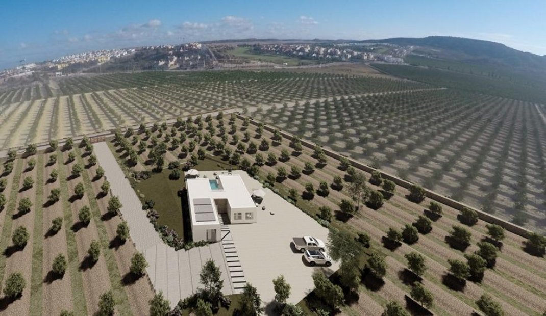 Obra nueva - Villa -
Algorfa - Lomas De La Juliana