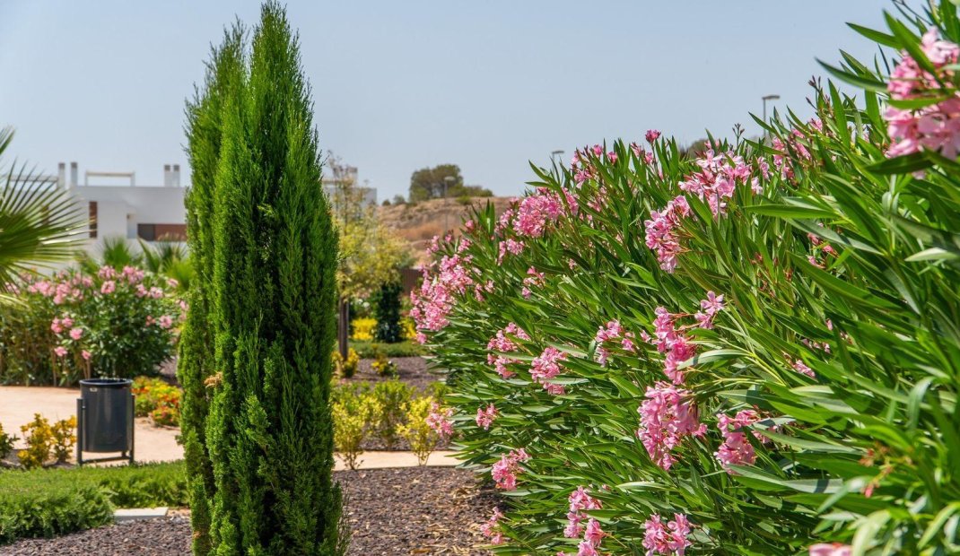 Obra nueva - Ground Floor Bungalow -
Orihuela - Vistabella Golf