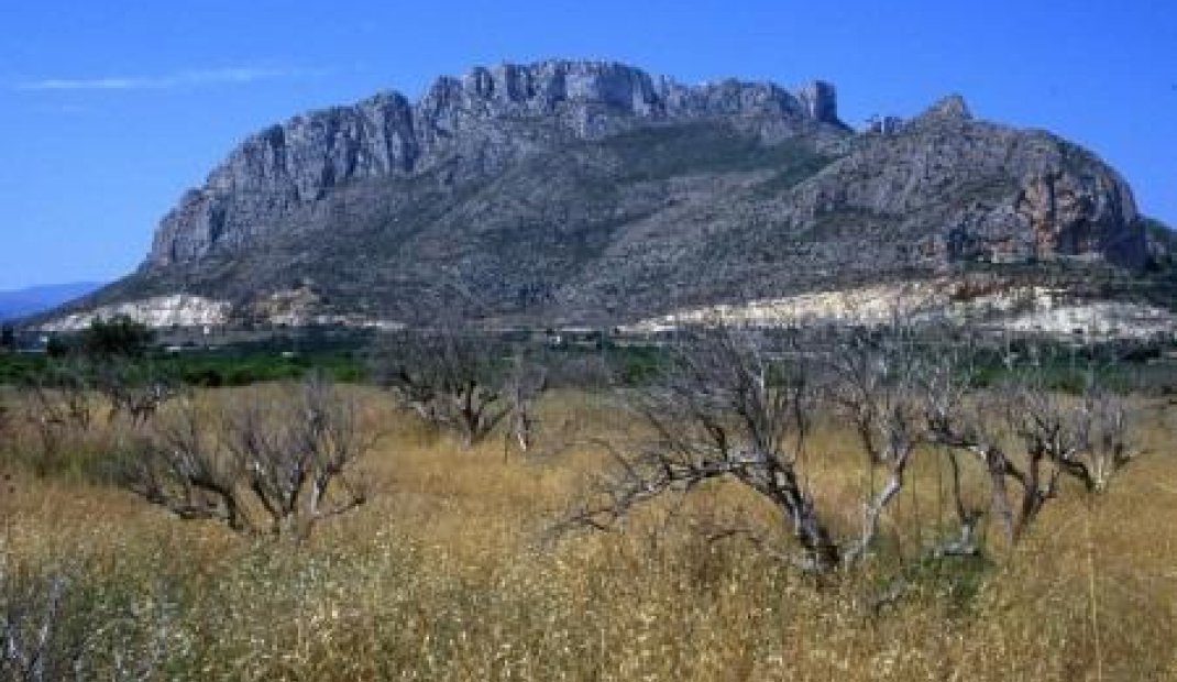 Obra nueva - Ground floor apartment -
El Verger