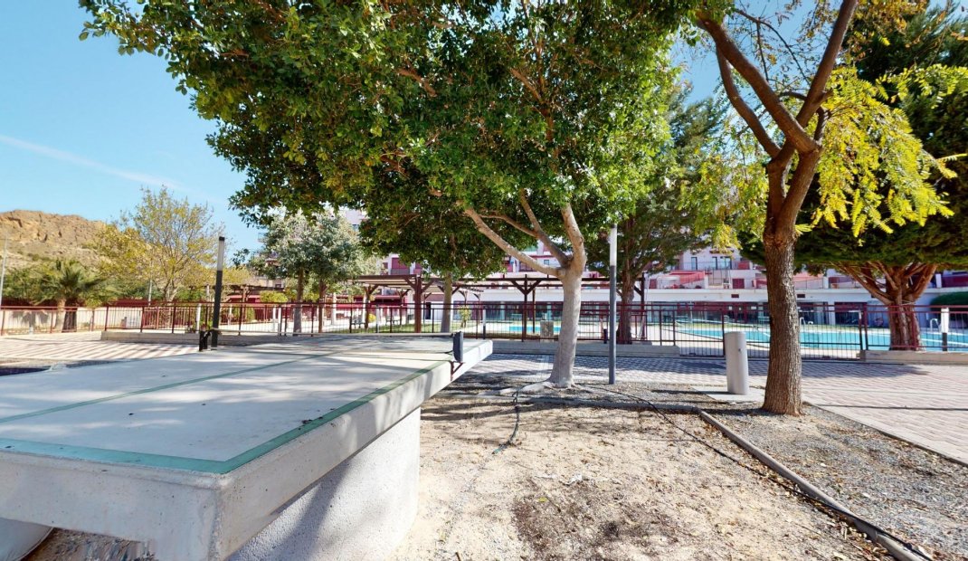 New Build - Apartment -
Archena - Villanueva del Rio Segura