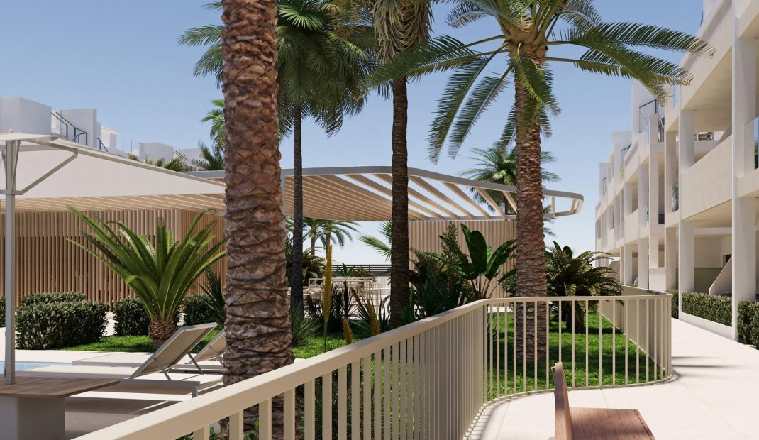 Obra nueva - Apartamento -
Torre Pacheco - San Cayetano