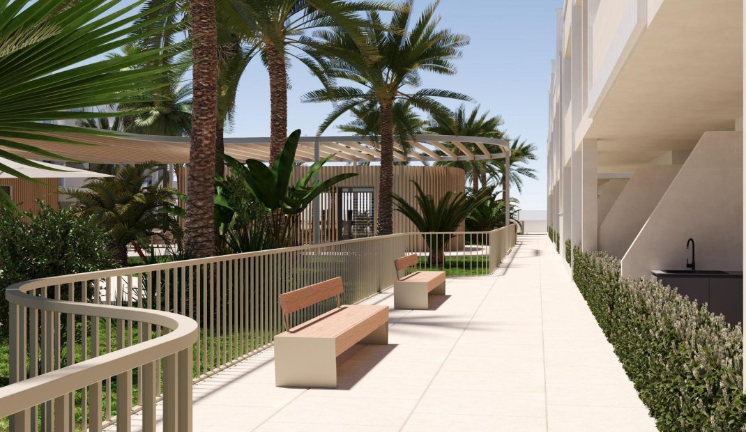 Obra nueva - Apartamento -
Torre Pacheco - San Cayetano