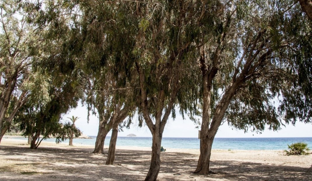 New Build - Apartment -
Villajoyosa - Playa Les Torres