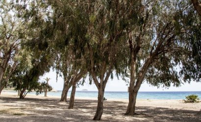 New Build - Apartment -
Villajoyosa - Playa Les Torres