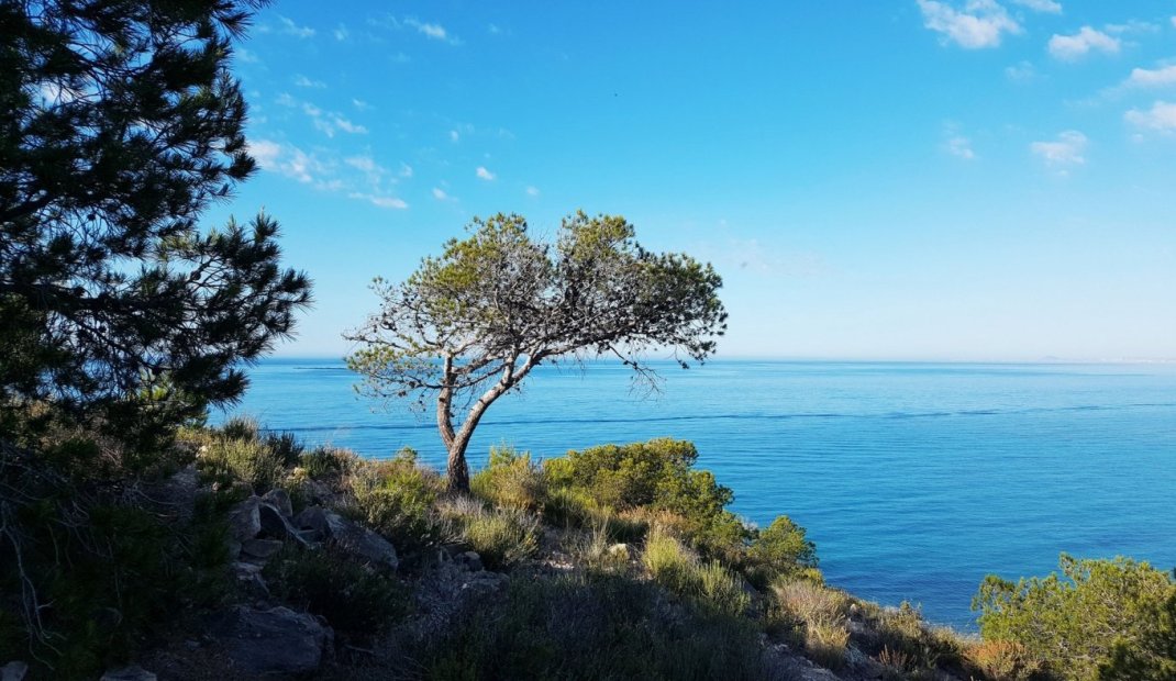 New Build - Apartment -
Villajoyosa - Playa Les Torres