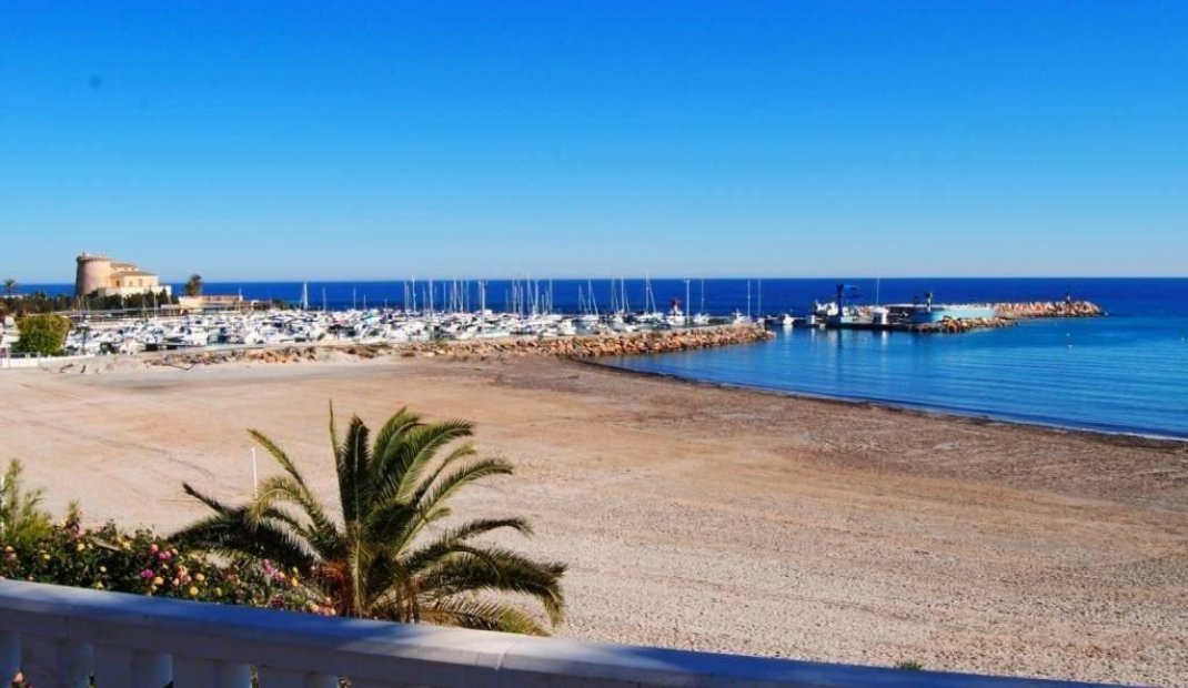 New Build - Villa -
Pilar de la Horadada