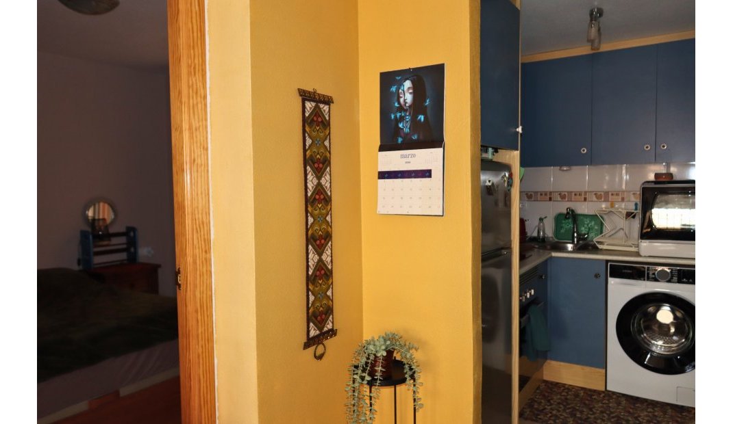 Endursala - Apartment / flat -
Torrevieja