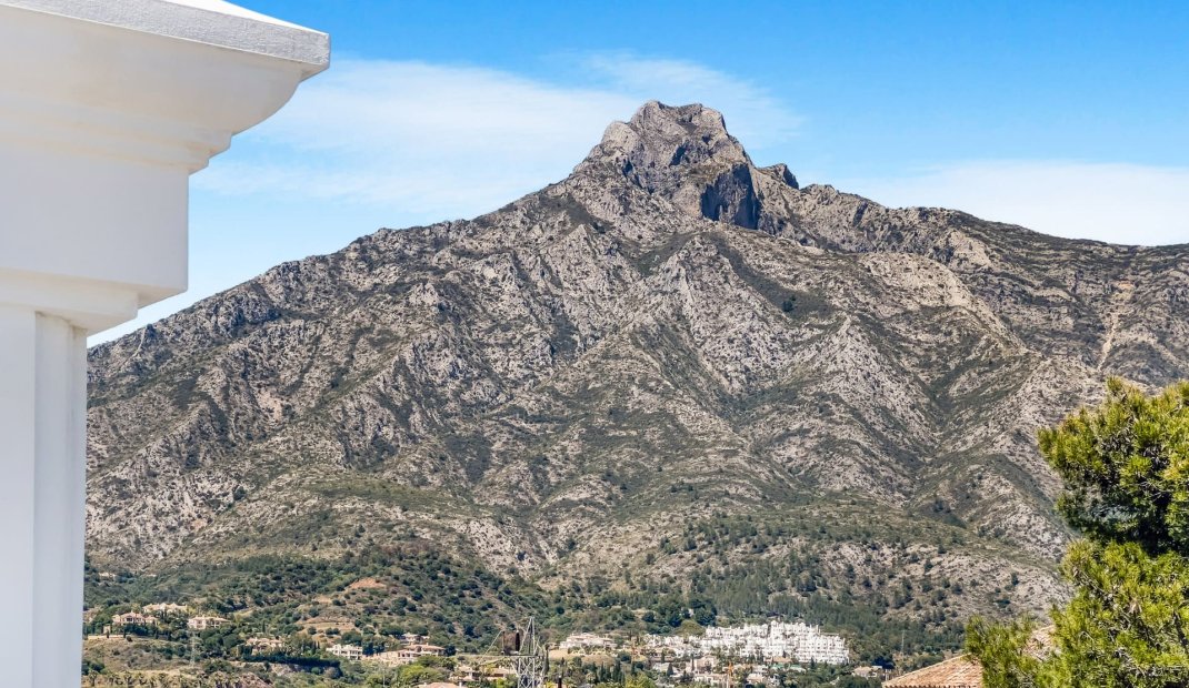 Obra nueva - Villa -
Marbella