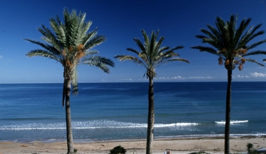 New Build - Bungalow -
Pilar de la Horadada - Parque Ramon eugenio Escudero