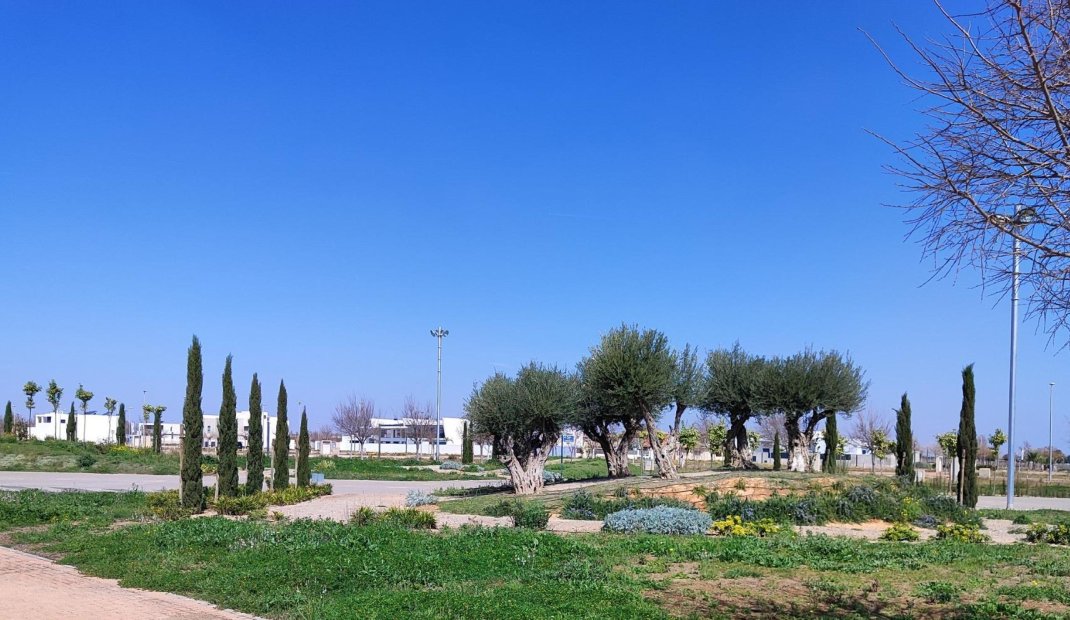 New Build - Apartment -
Torre Pacheco - Centro