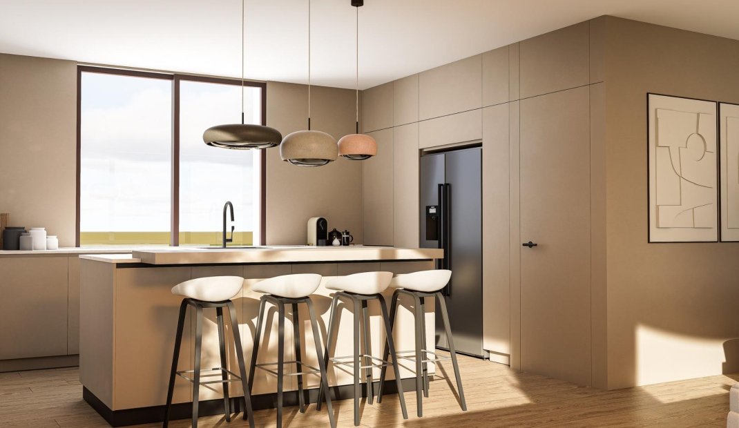 New Build - Villa -
Pinoso - Lel