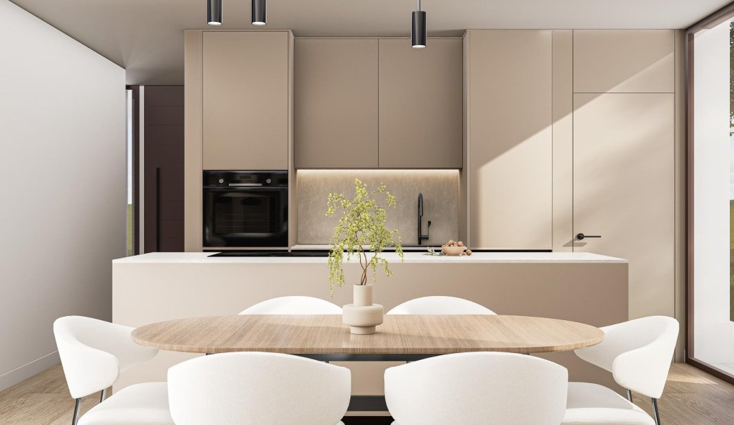 New Build - Villa -
Pinoso - Lel