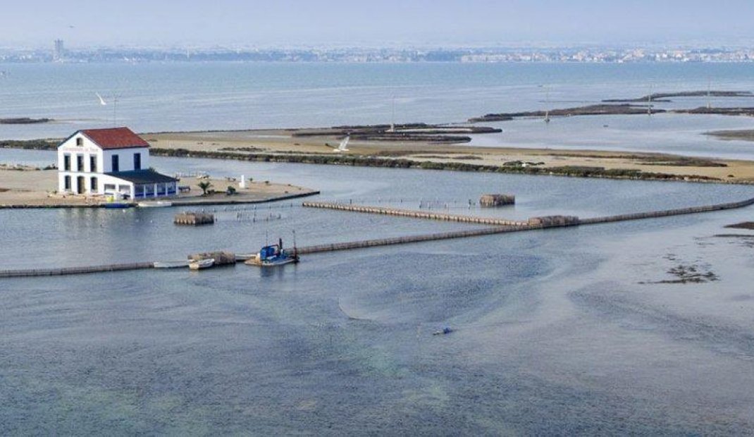 Nýbygging - Einbýlishús -
San Pedro del Pinatar - Centro
