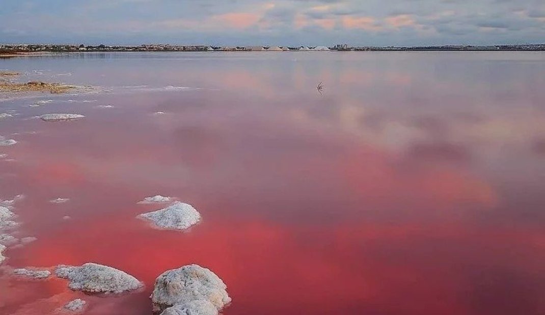 Nýbygging - Sérhæð -
Torrevieja - Lago Jardín II