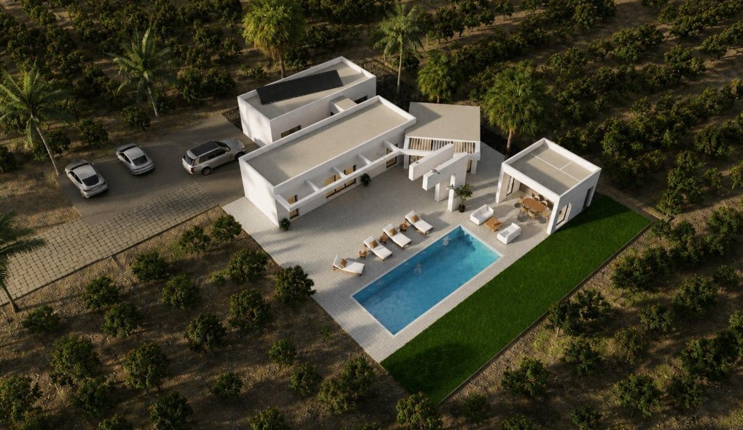 New Build - Villa -
Benejúzar - alta